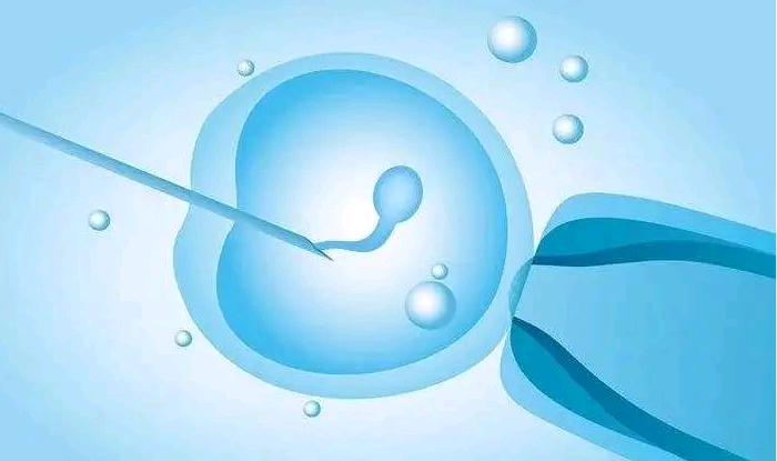 日照代孕流程和费用,巢湖三代试管放一个胚胎移植还是两个？三代试管婴儿一