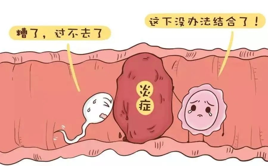 合肥代孕妇女多少钱,重庆妇幼做试管婴儿流程和经过！-供卵试管中介哪家好