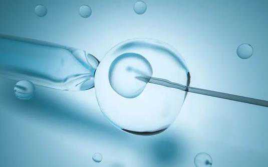 合肥代孕后可以性生活吗,北京合法供卵试管中心