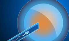 合肥代孕得双胞胎后,做试管婴儿能医保报销吗？-怀孕初期有生男生女的预兆吗