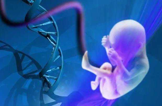 卵巢早衰供卵试管婴儿成功率_泰国试管婴儿性别可以筛选_2023云浮不孕不育医院