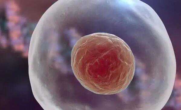 三代试管婴儿性别选择_三代试管可以选龙凤胎吗_自然周期移植冻囊胚详细用药